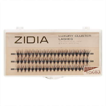 Zidia